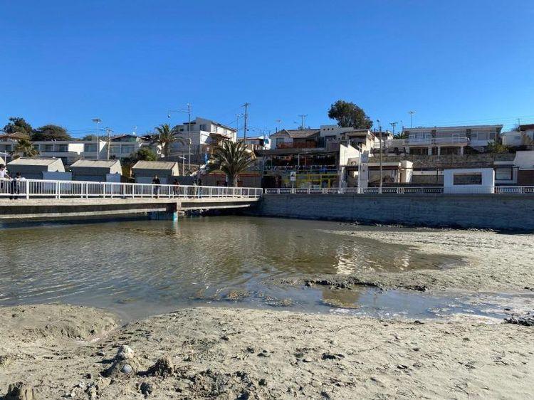 Se descarta presencia de mosquitos con dengue en Tongoy