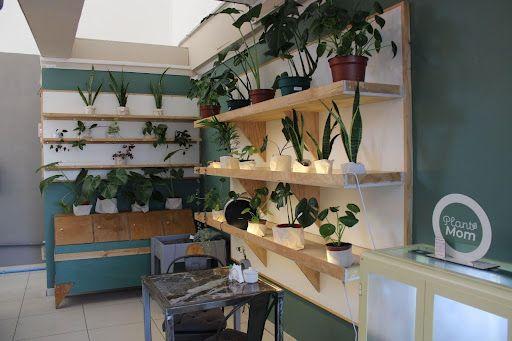 Corleone cafetería: Innovación y avance en espacios pet friendly en La Serena