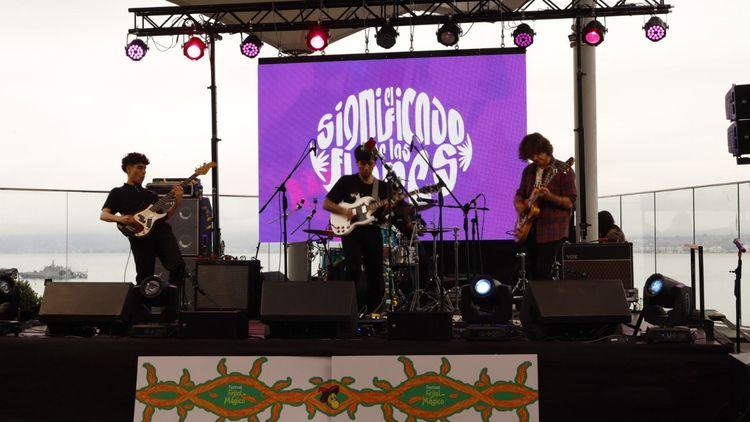 Ilustraciones y música: Festival Frijol Mágico celebró su XIV versión